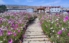 久草在线资源站手机版